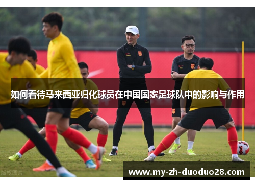 如何看待马来西亚归化球员在中国国家足球队中的影响与作用 如何看待马来西亚归化球员在中国国家足球队中的影响与作用