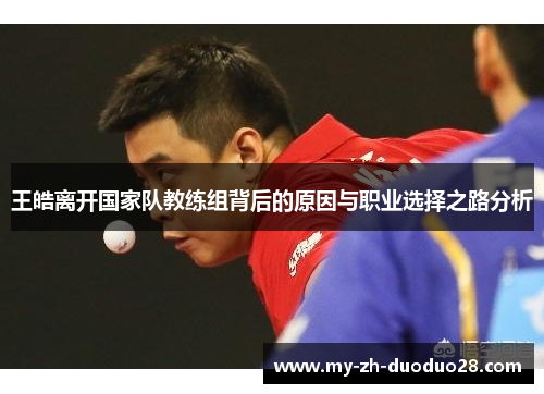 王皓离开国家队教练组背后的原因与职业选择之路分析
